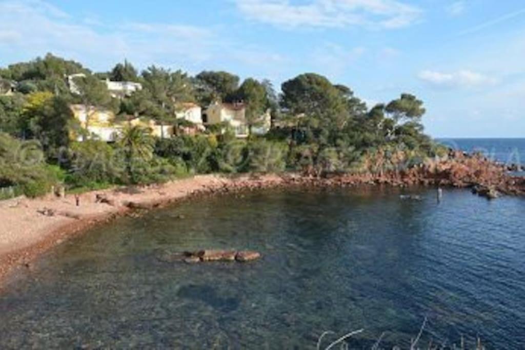 Appartement L'Evasion, Vue Mer, Plages A Pied Frejus Ngoại thất bức ảnh